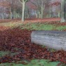 log.jpg