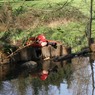 WildlifephotographersbyEdDoughty.jpg