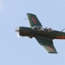 IMG_0018web.jpg
