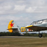 IMG_0062web.jpg