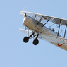 IMG_0194web.jpg