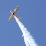 IMG_0333web.jpg