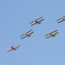 IMG_0339web.jpg