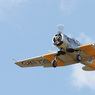 IMG_0397web.jpg