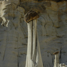 DSC_2192.jpg