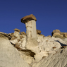 _DSC3895.jpg