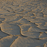 DSC_0366.jpg