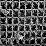 Fruit_net_in_hoar_frost_-_ja.jpg