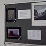 P1070322a.jpg