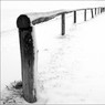 The_Fence_Solden_by_Ed_Doughty.jpg