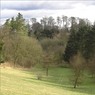 HellbottomWood.jpg