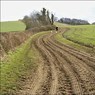 PathtoWheelerEnd.jpg