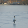 DSC_1322.jpg