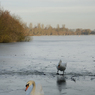 DSC_1326.jpg