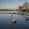 DSC_1328.jpg