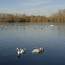 DSC_1371.jpg