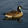 DSC_1376.jpg