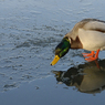 DSC_1381.jpg