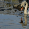 DSC_1406.jpg