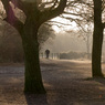 Ron_Castle-Dinton_Pastures.jpg