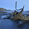 _DSC7187.jpg