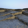 _DSC7192.jpg