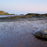 _DSC7195.jpg