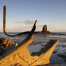 _DSC7212.jpg