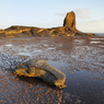 _DSC7214.jpg