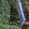 _DSC7232.jpg