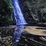 _DSC7235.jpg