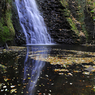 _DSC7247.jpg