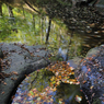 _DSC7256.jpg