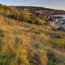 _DSC7322.jpg