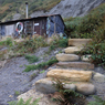 _DSC7372.jpg