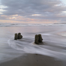 _DSC7383.jpg