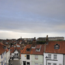 _DSC7436.jpg