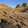 _DSC3945cr2.jpg