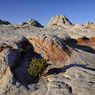 _DSC3984.jpg