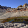 _DSC4001.jpg