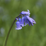 DSC_0317.jpg