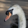 20090630-062-Edit.jpg