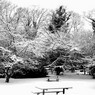 AlexMcKendrick_TablesintheSnow.jpg