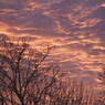 AlexMcKendrick_WinterSky.JPG