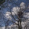 ChilternsinWinter.jpg