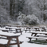 DavidBirch_IMG_4012Winterbeergarden800wide.jpg