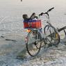 DavidGrahamCycleOnIce.jpg