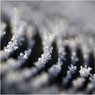 EdDoughty-FrostedPost.jpg