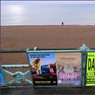 RodBirdBrightonBeachDec2008_600.jpg