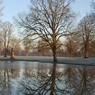 SharonRibbon_winterreflection.jpg
